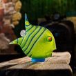 Borowski Angel Fish Exposures International