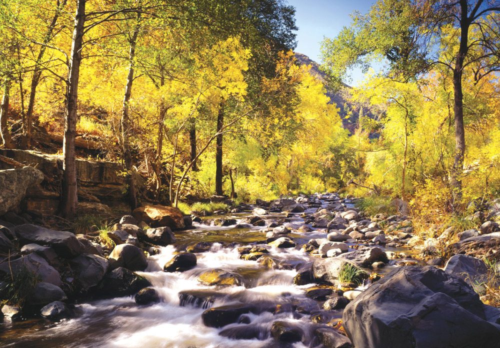 Oak Creek - SD0440 | Tom Johnson | Photography-Exposures International Gallery of Fine Art - Sedona AZ