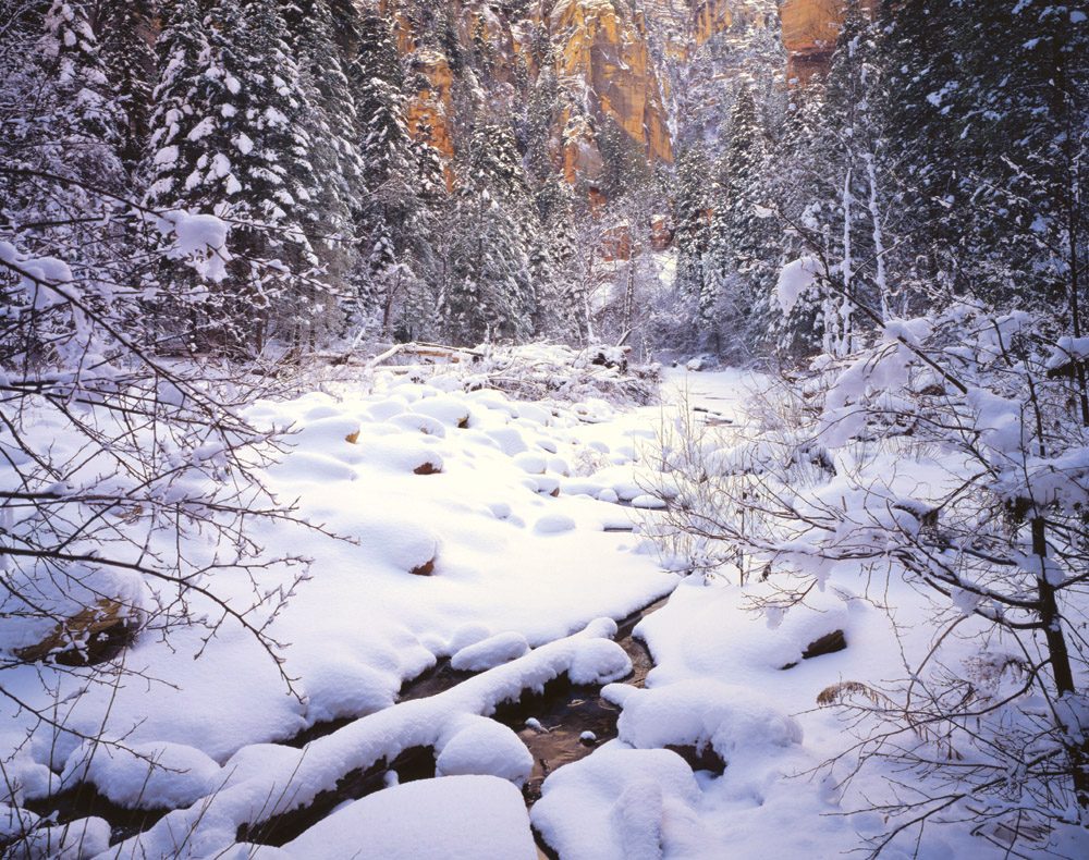 Secret Mountain Wilderness - SD0612 | Tom Johnson | Photography-Exposures International Gallery of Fine Art - Sedona AZ