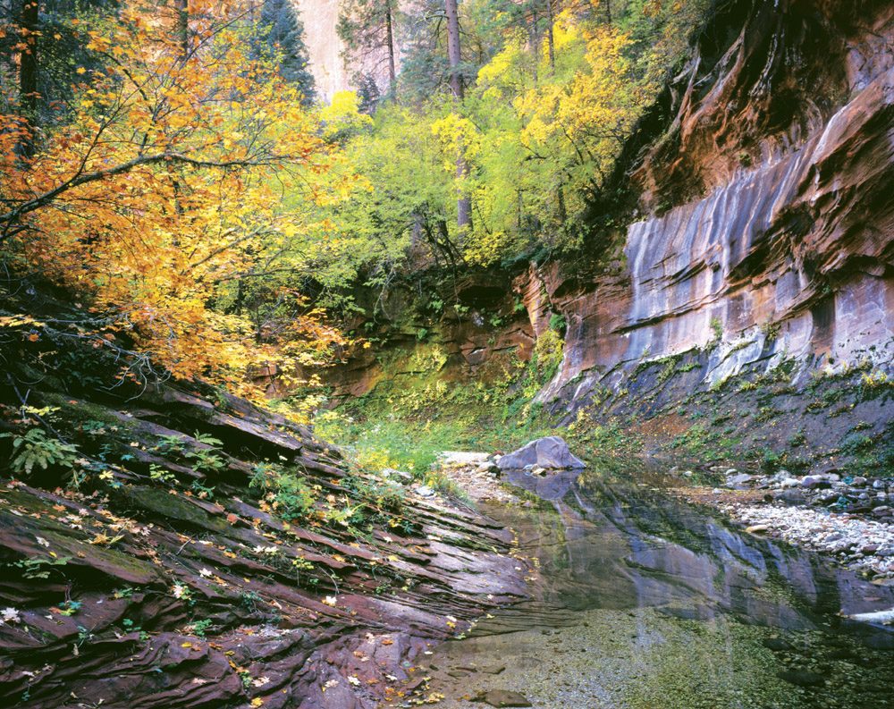 Secret Mountain Wilderness - SD0621 | Tom Johnson | Photography-Exposures International Gallery of Fine Art - Sedona AZ