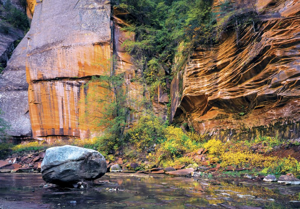 West Fork Boulder - SD0618 | Tom Johnson | Photography-Exposures International Gallery of Fine Art - Sedona AZ